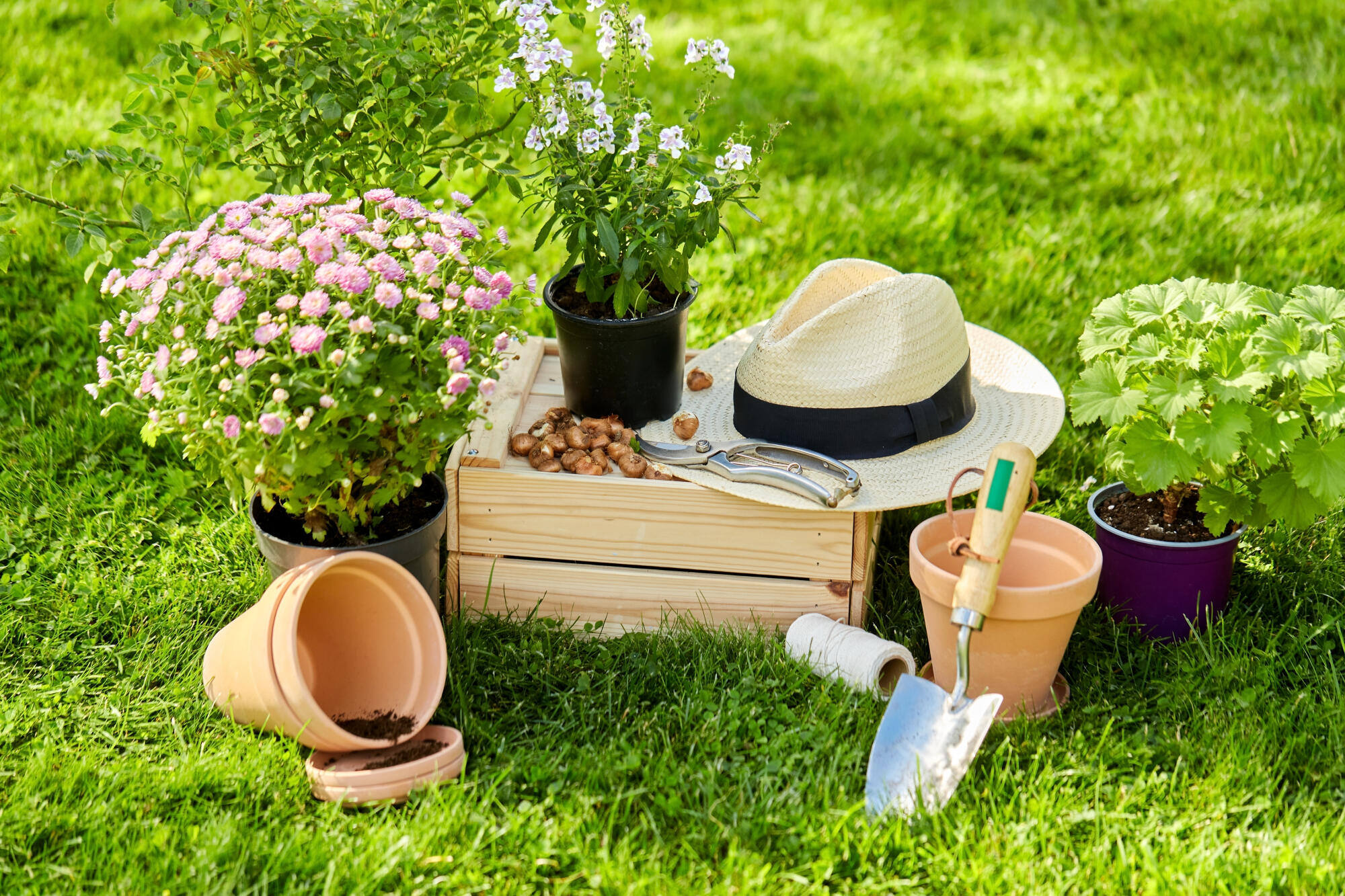 Selecting the Right Gardening Tools for Elders